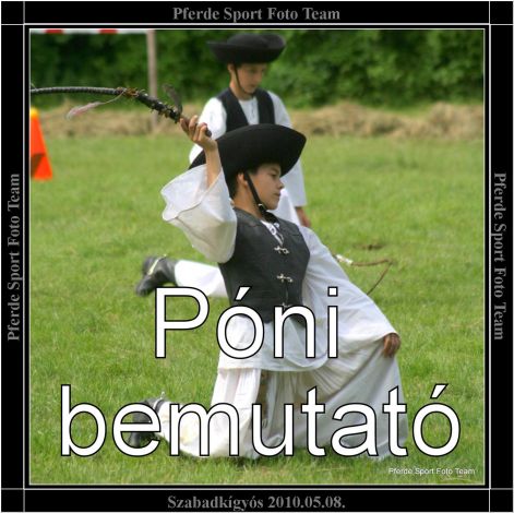 szabadkigyos_poni_bemutato_banner.jpg