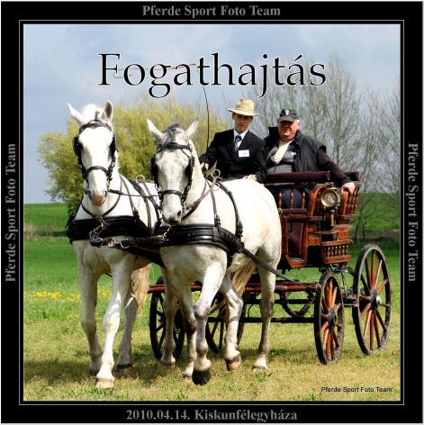 szktv_fogathajtas.jpg