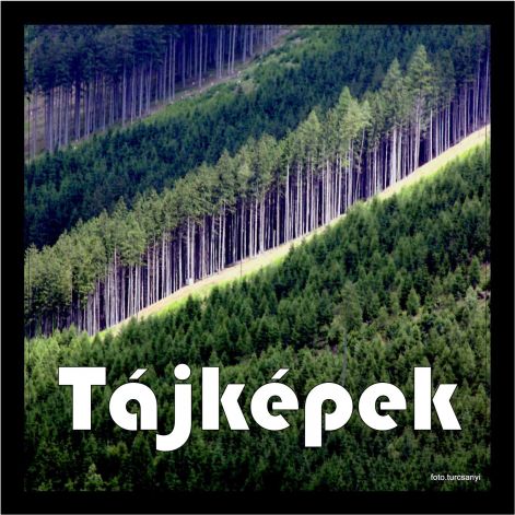 tajkep.jpg