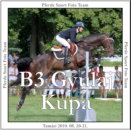 tamasi_b3_gyulaj_kupa.png
