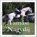 tamasi_nagydij.png