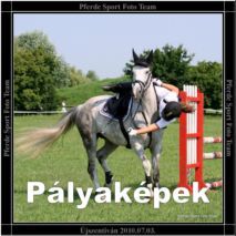 ujszentivan_2010.07.03._palyakepek.jpg