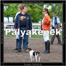 zsombo_2010.06.27._palyakepek.jpg