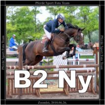 zsombo_2010.06.27_b2_ny.jpg